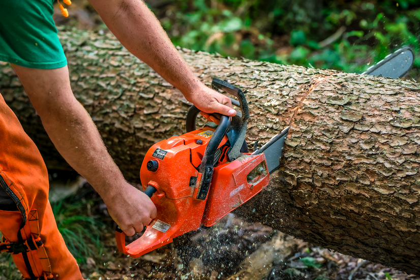 Branding photo for tree company in East Tennessee, saw cutting into tree trunk