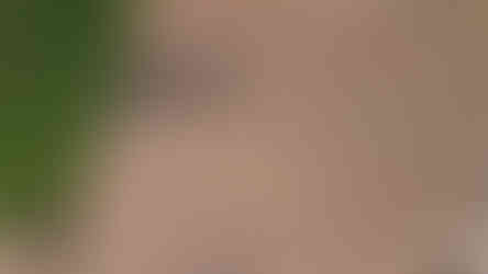 Roof inspection East Tennessee