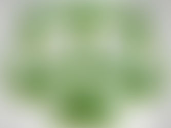 Obrigações Ambientais do Mês de Março