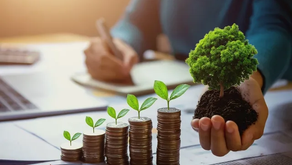 FUNÇÃO DE UMA CONSULTORIA AMBIENTAL
