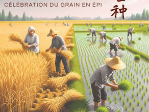 🌾 Mangzhong 芒种 — Sous la pluie tiède, le Chant des Moissons. 