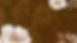 SPEAKER. AUTHOR. RULEBREAKER (8).png