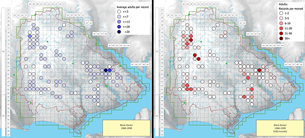 Black Darter 1980-1999