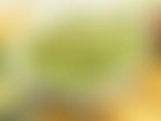 4 Ensaladas con aguacate para variar tus comidas