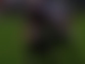 Endstation Wild Card