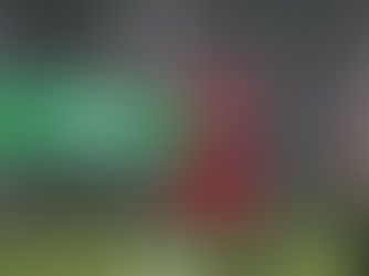 Lions U16 unterliegt auswärts den Vikings