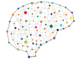 Fitness helps the brain function as we age