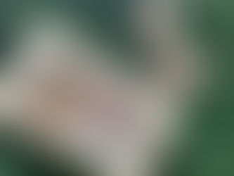 В праздничные дни в рождественской творческой мастерской