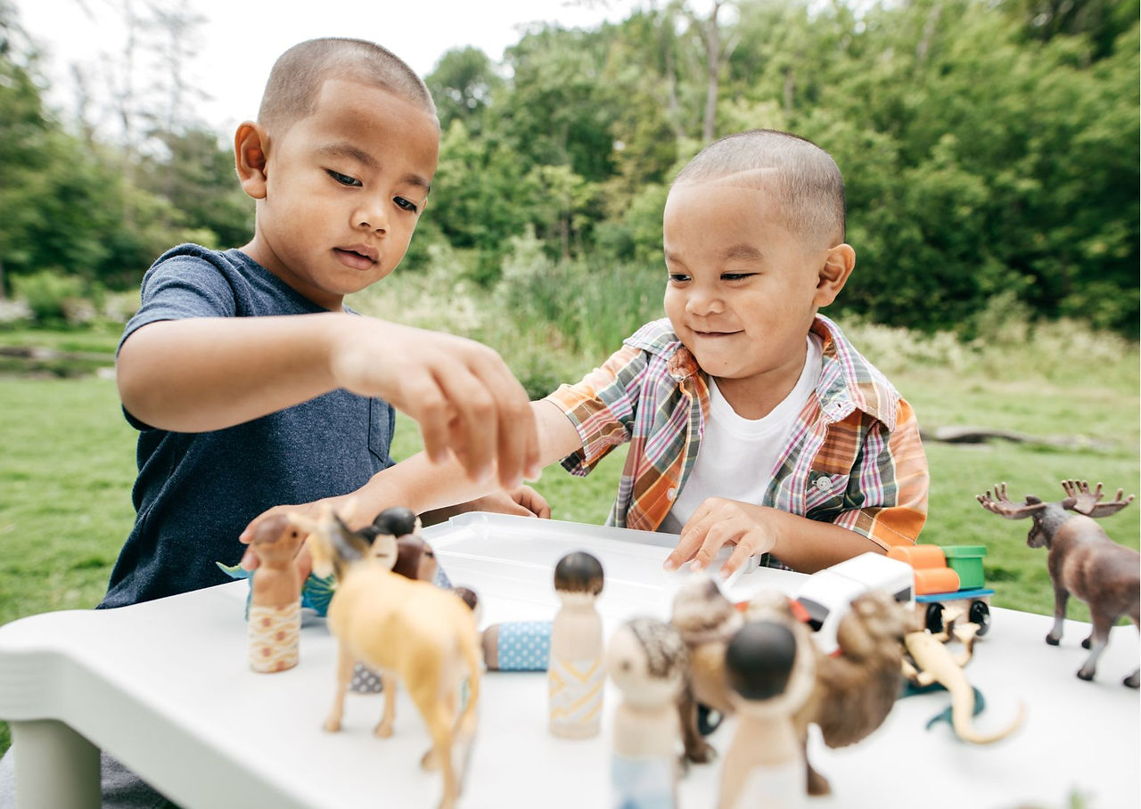 dois meninos brincando com bonecos em meio a natureza