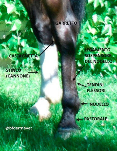 FIBBIE PER CINGHIE INCROCIATE Coperte 2 Seta Da 3 Pezzi - Foto 2