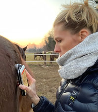 DERMOSCOPIA CAVALLO