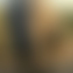 Founder Transitions: How Travel Ignites Personal and Professional Growth