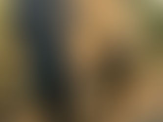 Founder Transitions: How Travel Ignites Personal and Professional Growth