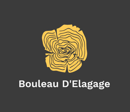 BODY DRIVE EXPERIENCE