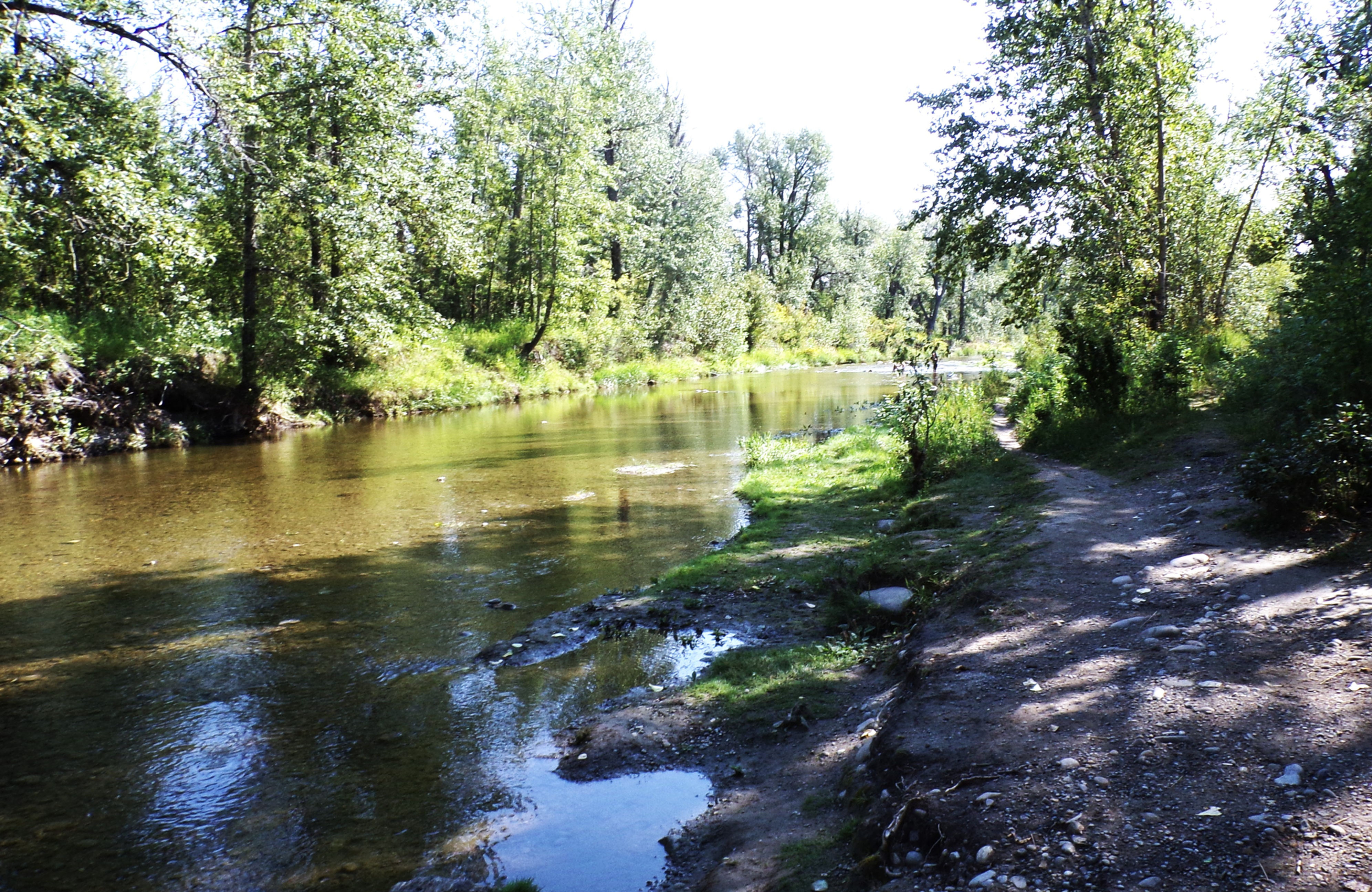Fish Creek in August