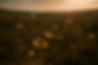 ChatGPT Image 6. Mai 2025, 10_26_17.png