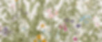 Wildblumen_edited_edited.jpg