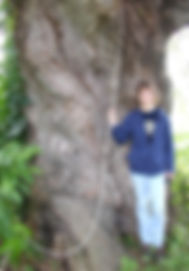 Willow,Weep1.jpeg