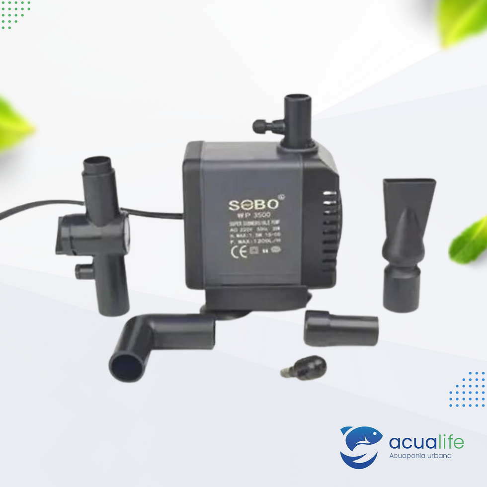 Miniatura: Bomba de agua WP-3500