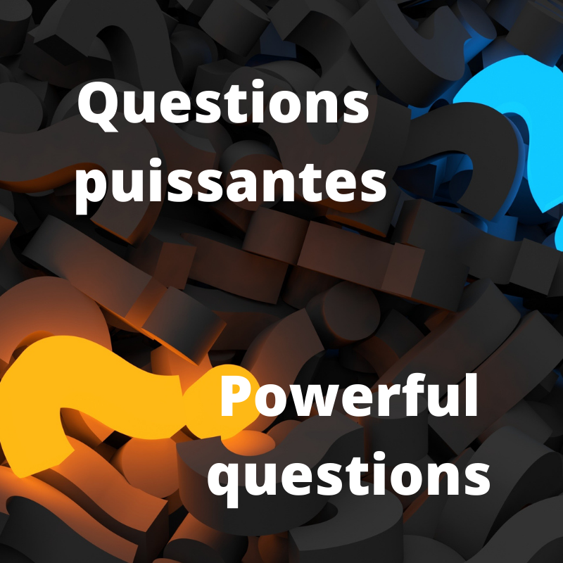 Questions puissantes, c'est quoi? content media