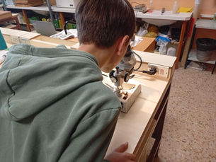 Ciencia bajo la lupa: descubriendo los secretos de las plumas en 1º de ESO