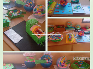 Las maquetas de la célula de 1º de ESO
