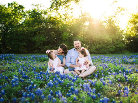 Bluebonnets 2018