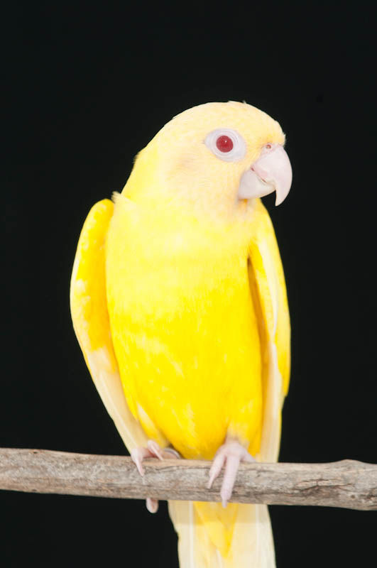 BAC_6345