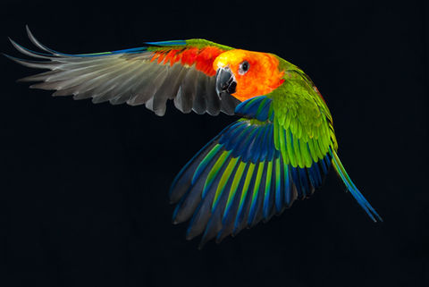 Hotels-Models14015 2_edit_new 2.jpg