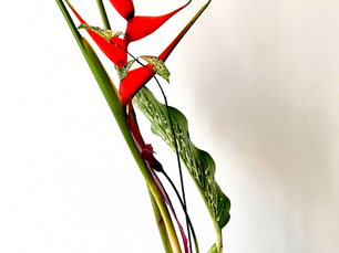 Key Points of the Upright Style in Ikebana