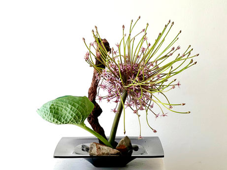 Utilising a Unique Motif in Ikebana