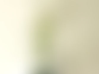 Crossing lines in Ikebana