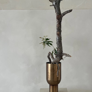 Tree trunk in a copper vase with small white flowers