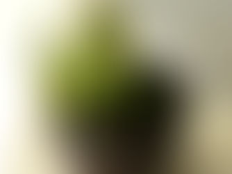 Ikebana design inspired by vase