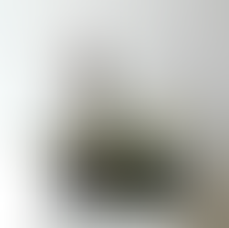 Featuring Flannel Flowers in Ikebana