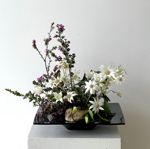 Featuring Flannel Flowers in Ikebana
