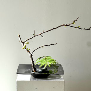 Single Branch Expression in Ikebana