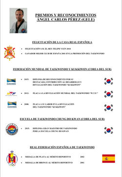 CV-GELE-e-historia-club-actualizado-a-26-07-2016-4