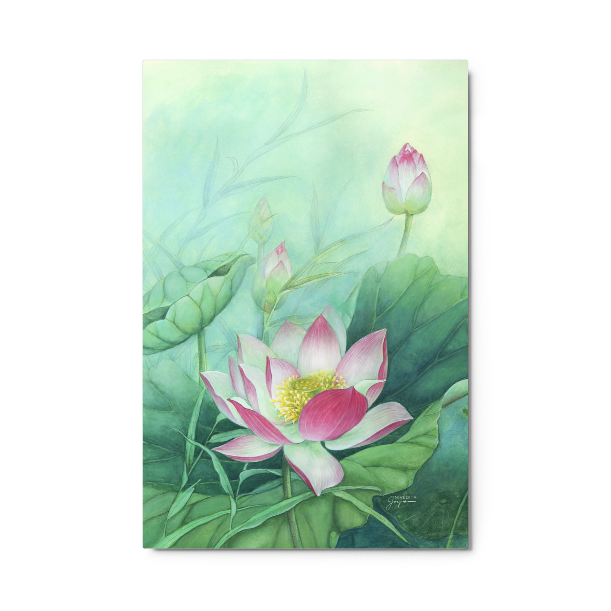 Metal print: Fragrant Lotus