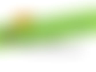 『グローバルタクス告知』諸富 徹 勉強会