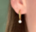 Golden Halo Earrings (circle)