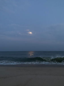 IMG_3289.jpeg