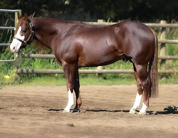 Burn Down The House _Blaze_.jpg