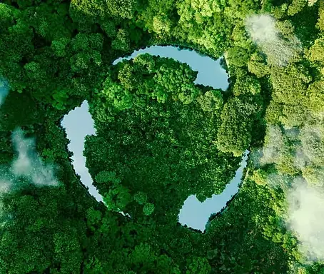 Sustainability: An Important Aspect Of Our Lives