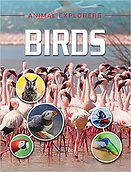 birds2.jpg