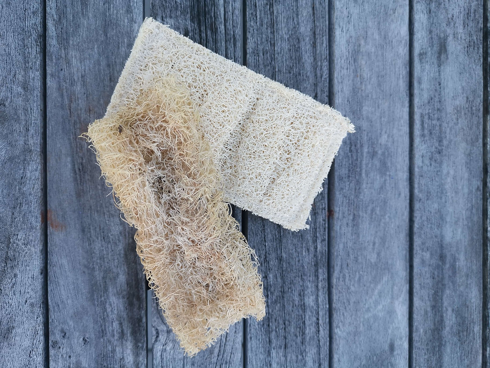 Luffa-Schwamm in der Küche, Luffa-Gurke, Zero Waste im Alltag, Nachhaltigkeit, Katharina rührt