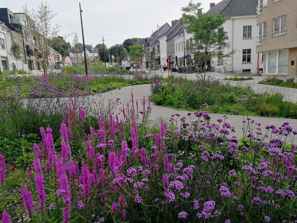Officinalis - landschap en publieke ruimtes