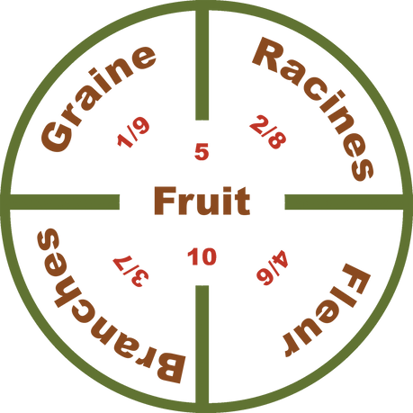 KKYC Logo Seed, Roots - FRENCH.png