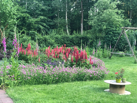 Officinalis - Tuinontwerp