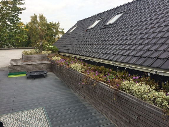 Officinalis - pimp je tuin